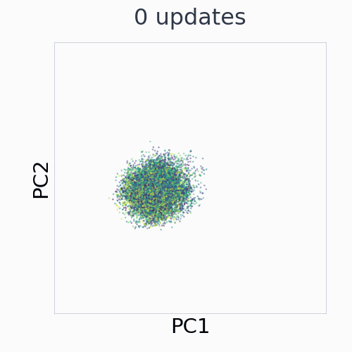 Cube: EMA control representation across 29 saved training checkpoints, in fixed PCA coordinates.