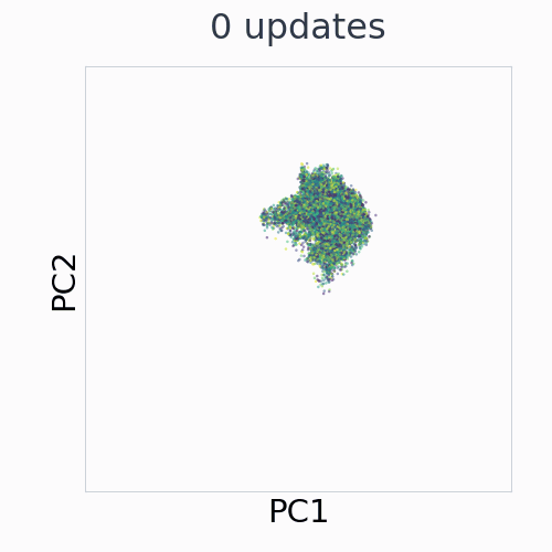 HumanoidMaze: EMA control representation across 29 saved training checkpoints, in fixed PCA coordinates.