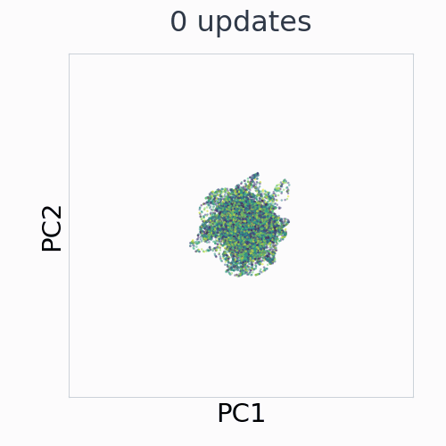 Reacher: EMA control representation across 29 saved training checkpoints, in fixed PCA coordinates.