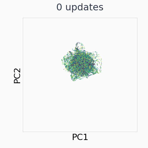 TwoRoom: EMA control representation across 29 saved training checkpoints, in fixed PCA coordinates.